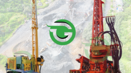 gamila-1